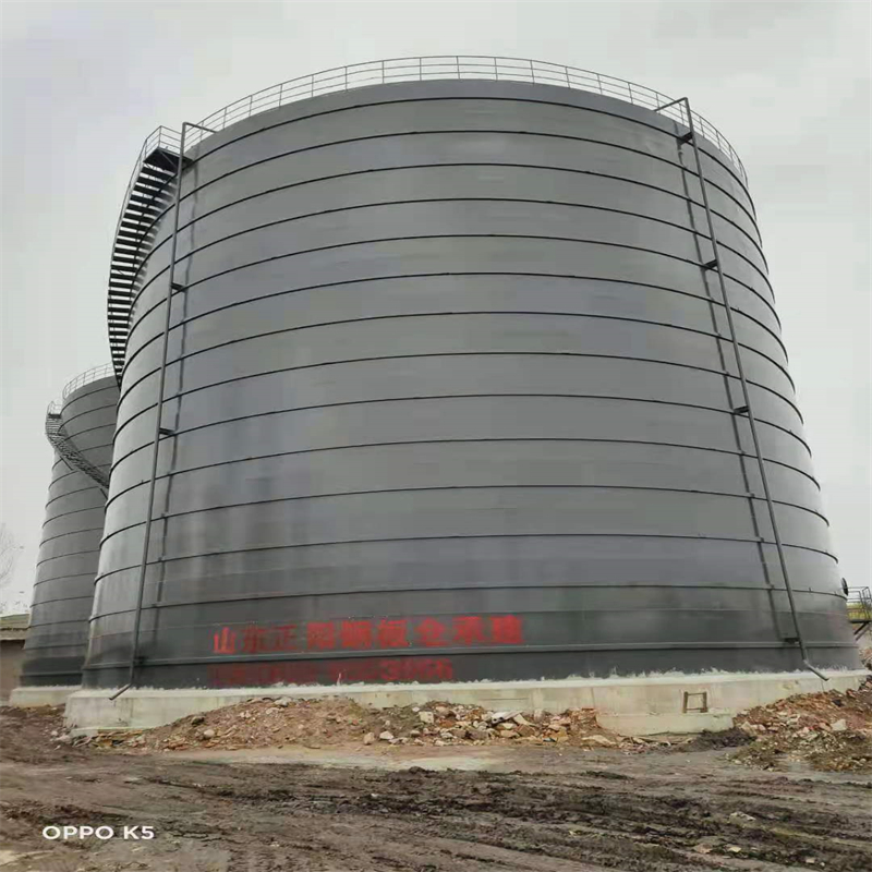 勃利3万吨大型钢板库