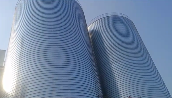 勃利2座混凝土高架卷板仓